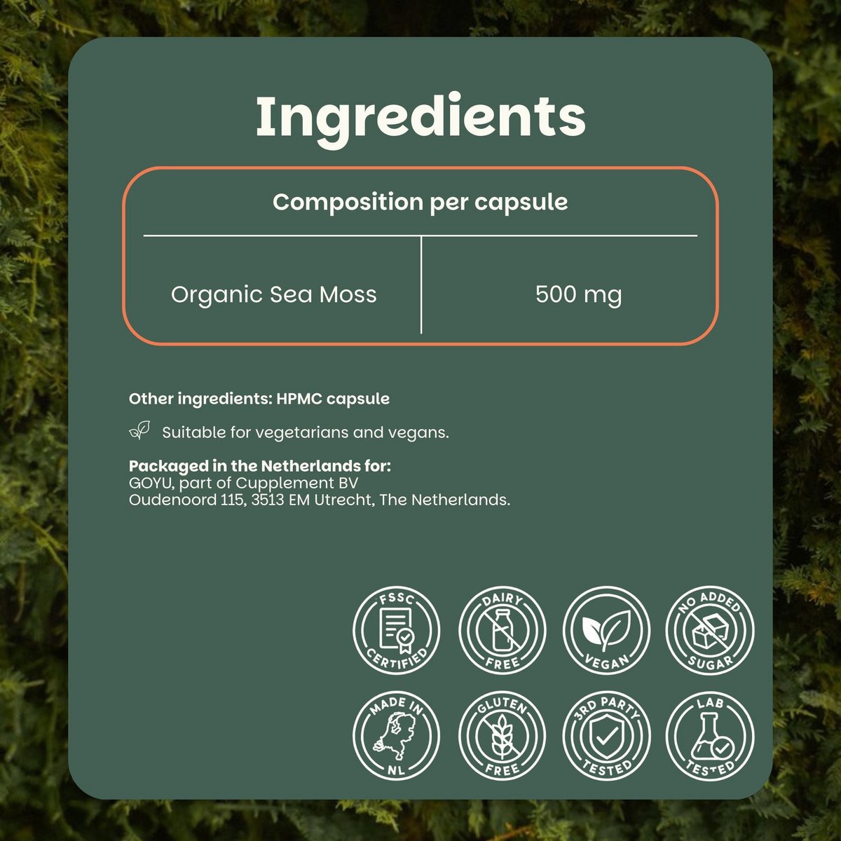 Sea Moss Capsules 500 mg Organic -  60 Capsules