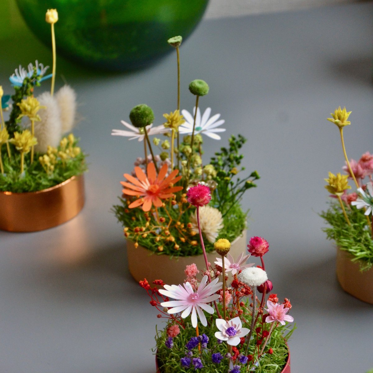 Mini jardín