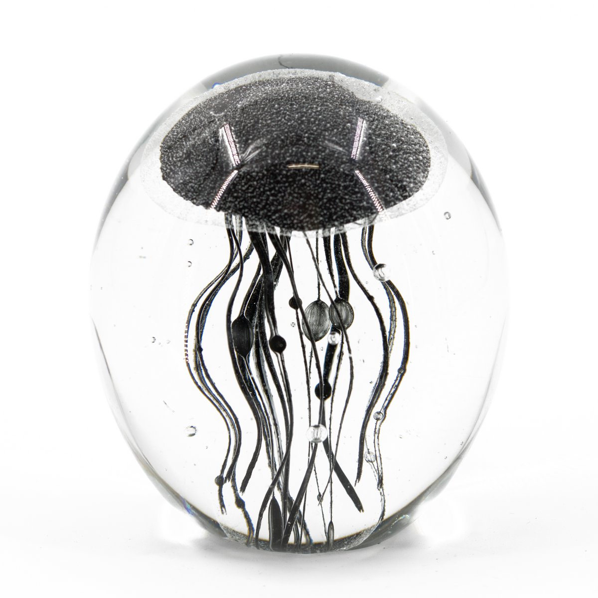 Jellyfish in glass