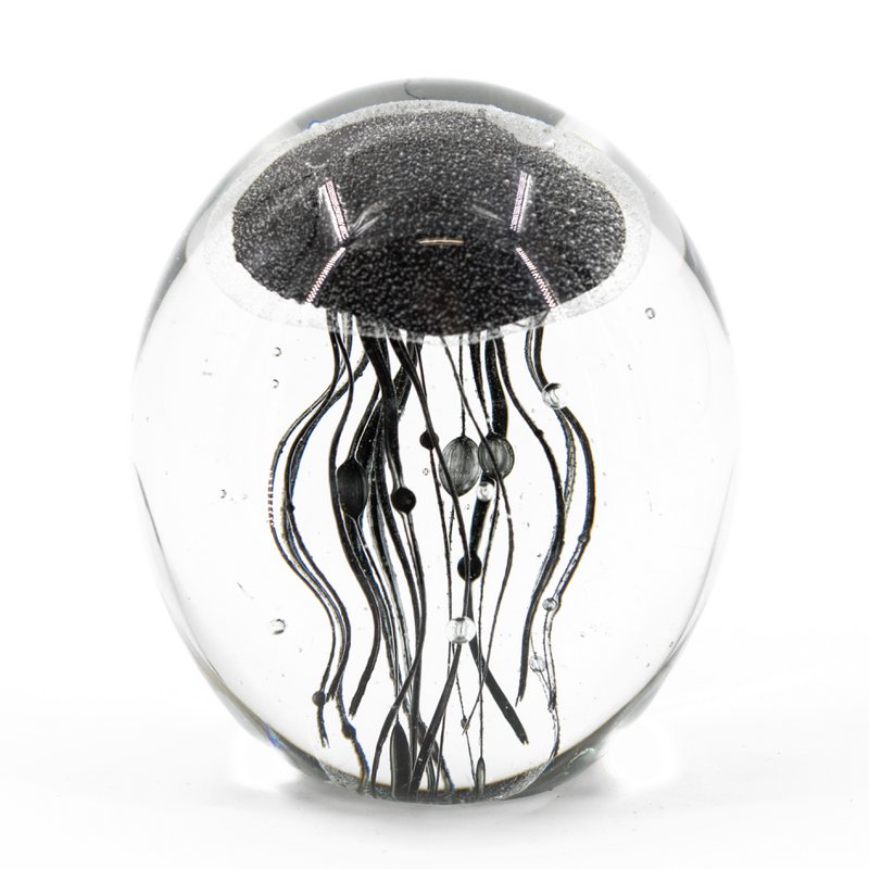 Jellyfish in glass