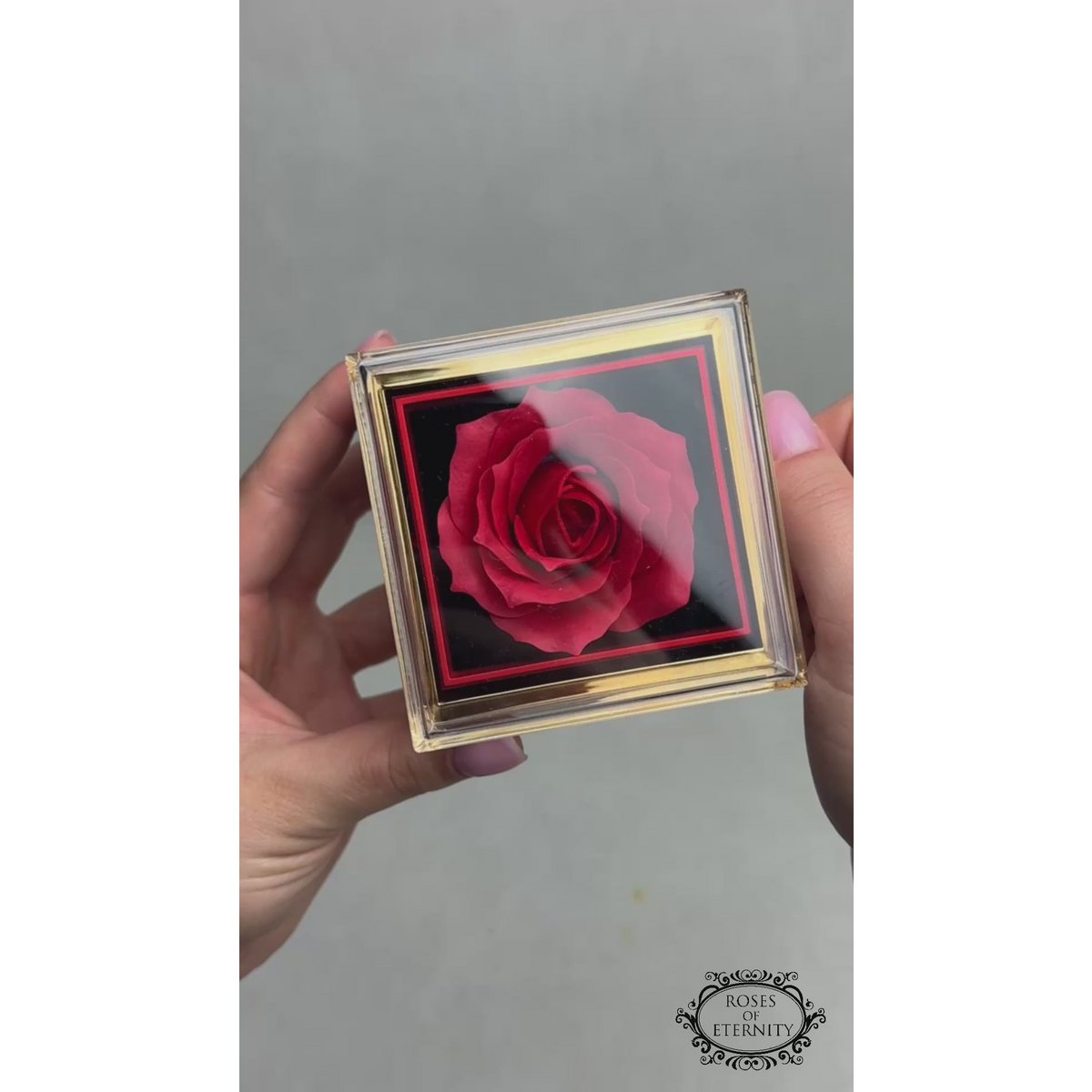 Mi Amore Rose - 925 sølvkæde med hjertevedhæng
