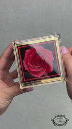 Mi Amore Rose - 925 sølvkæde med hjertevedhæng