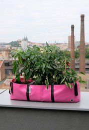 Rectangular olive green planter with handles, containing lush green leafy plants. Suitable for growing herbs, vegetables, or decorative plants. Durable and portable design.