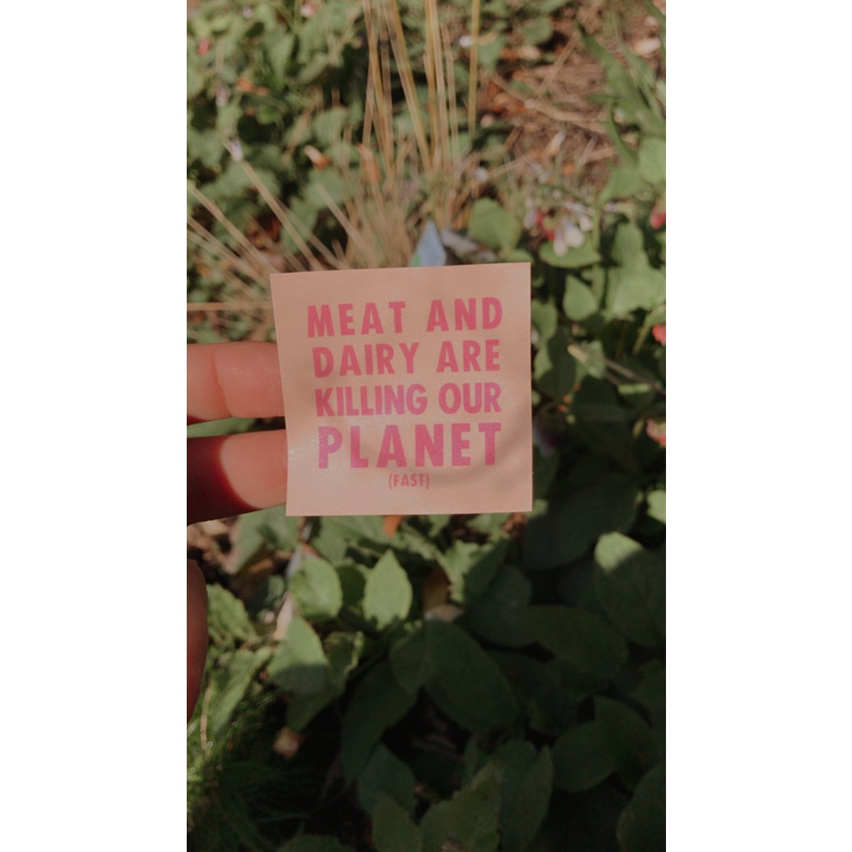 Small Vegan Indoor/Outdoor Stickers 'Meat and Dairy Are Killing Our Planet'