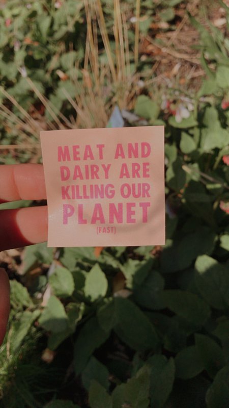 Small Vegan Indoor/Outdoor Stickers 'Meat and Dairy Are Killing Our Planet'