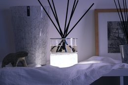 ICE KASHMIR Dual & Led: Coriandolo, Ambra e Patchouli