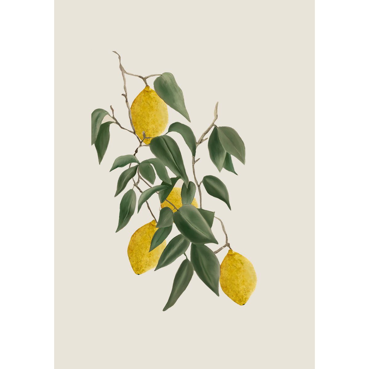 Cartel limones