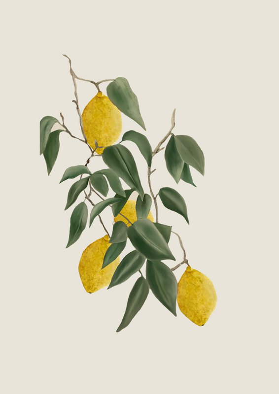Cartel limones