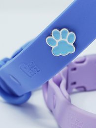 Paw-shaped dog collar pendant in blue and pink colors, suitable for pet accessories and decorations.