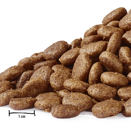 Dogs’n Tiger Adult Premium cat food, dry food, grain-free, sweet tooth, turkey & salmon
