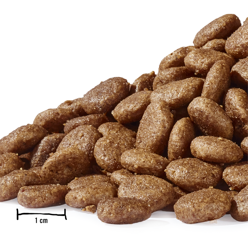 Dogs’n Tiger Adult Premium cat food, dry food, grain-free, sweet tooth, turkey & salmon