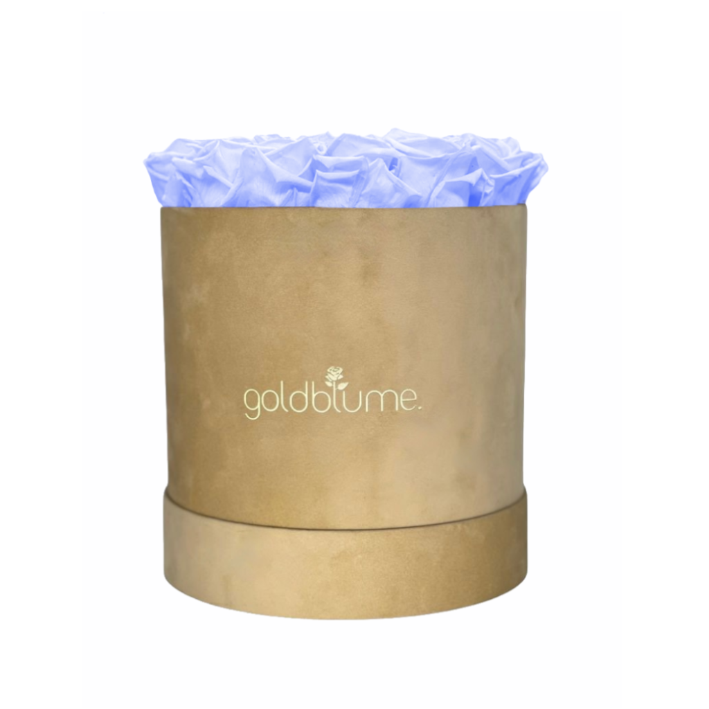 Colección Terciopelo Beige
