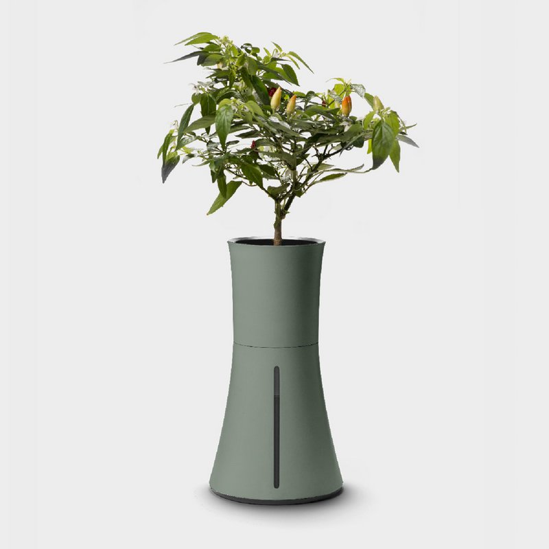 Botanium - Laurel Green (6-pak)