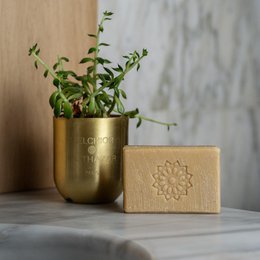 Oranjebloesem vaste zeep - exfoliërend