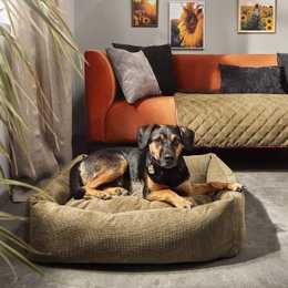TUDOR ORTHO | Premium Orthopedic Dog Bed