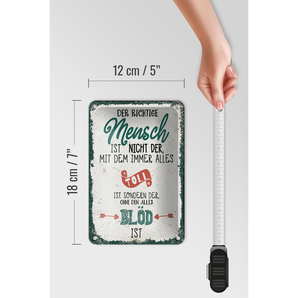 Blechschild Spruch der richtige Mensch ohne alles blöd 12x18cm Schild