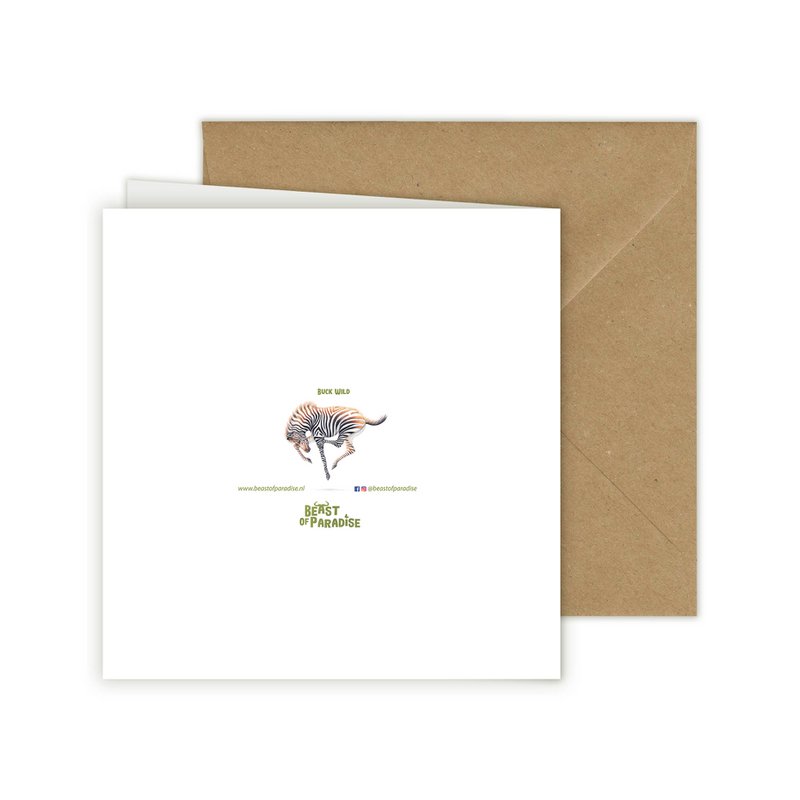 Puledro zebra - Biglietto d'auguri, 13 x 13 cm, fauna selvatica, cartoline