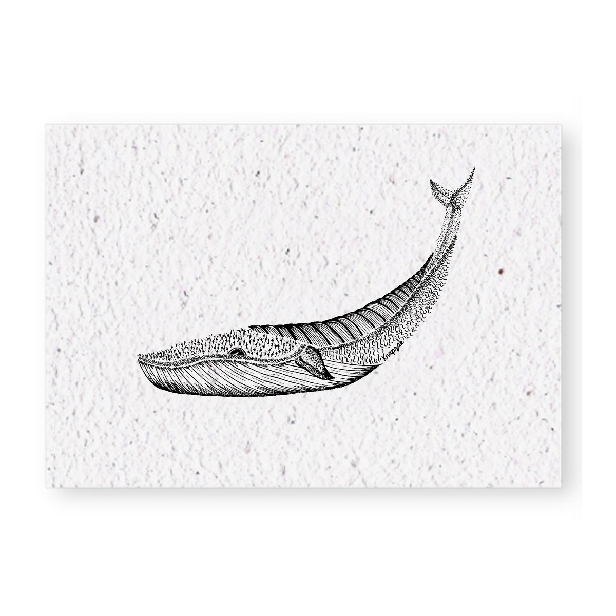 Groeikaart Walvis