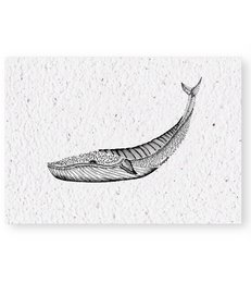 Detailed illustration of a whale-shaped card with a minimalist, hand-drawn style.