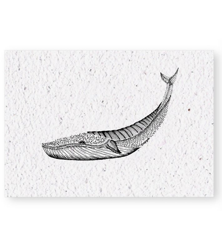 Growing map Whale