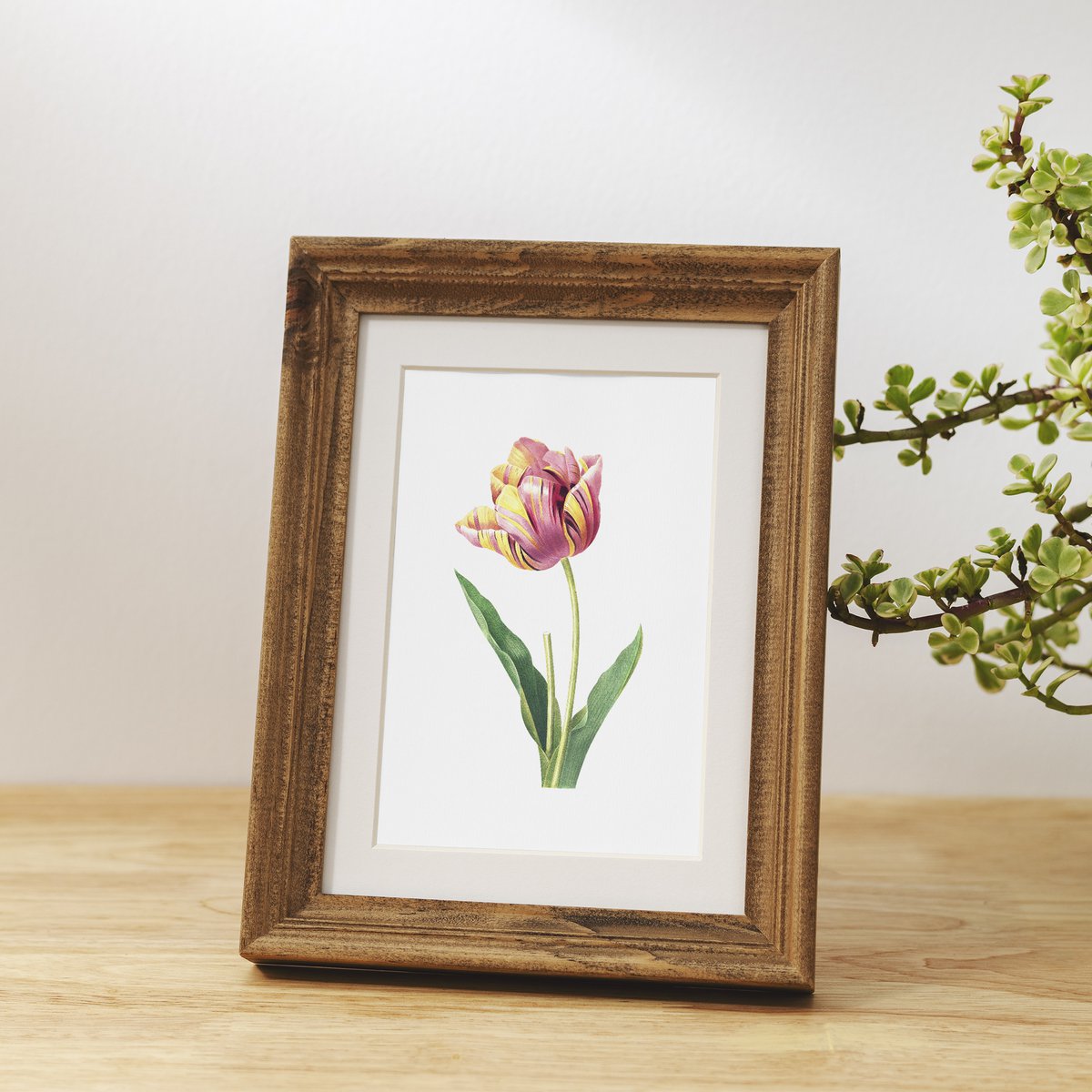 Botanische kunst print mix x16 | Vintage bloem illustratie | Kunst aan de muur