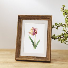 Mix di stampe d'arte botanica x16 | Illustrazione di fiori d'epoca | Decorazione artistica da parete