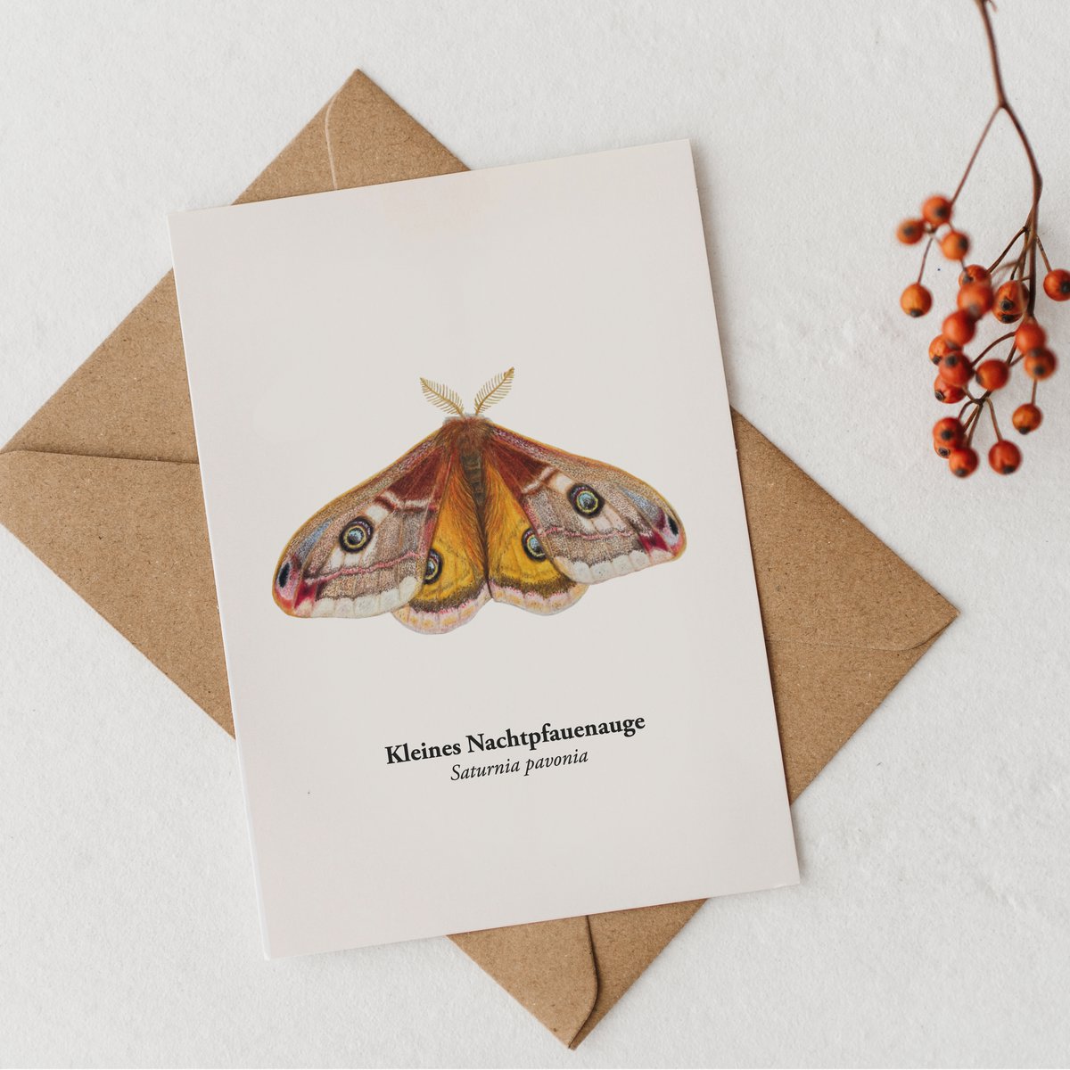 Postal nachtfauenauge, miniprint nachtfalter