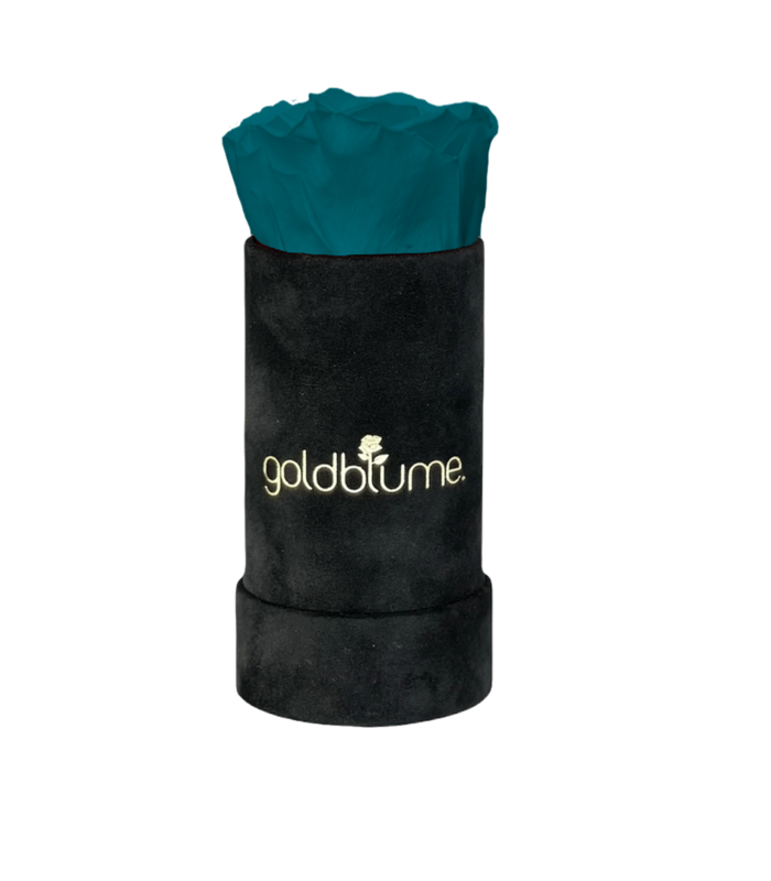 Velvet Black Collection