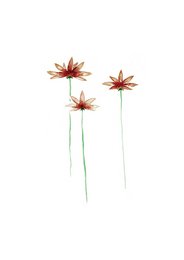 3 fleurs