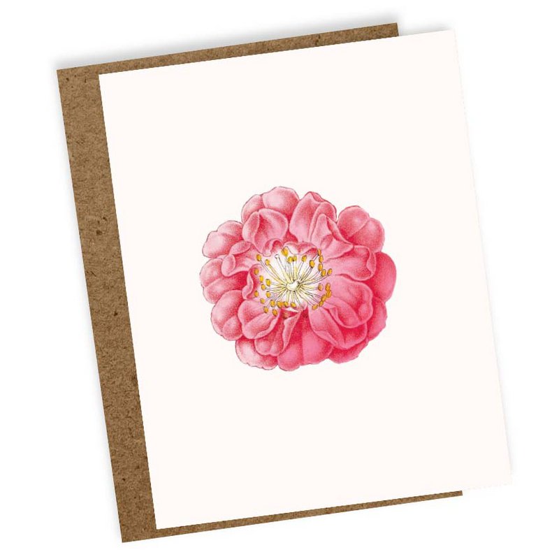 Mini Tarjeta de Felicitación Rosa (Flor)