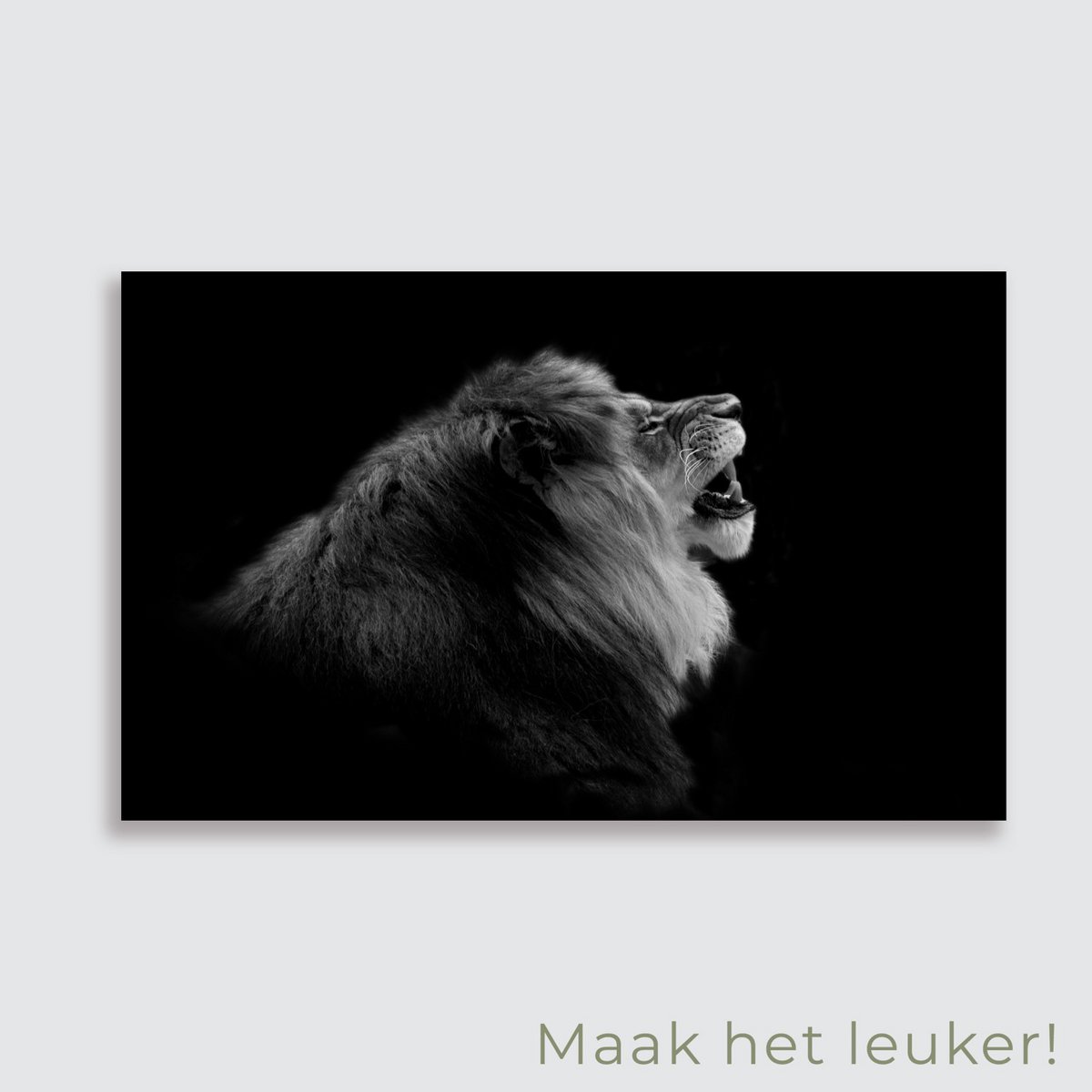 Plakat ogrodowy Lew