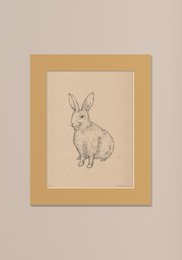Illustration of a rabbit in a passe-partout frame, available in various sizes and colors including Salvia, Olivo, Noce, Lino, Cavolo nero, and Casa Otelli.