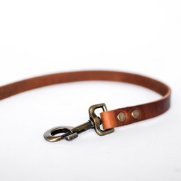 No fuss dog leash | Brown