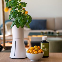 Botanium næringsstoffer (12-pak)