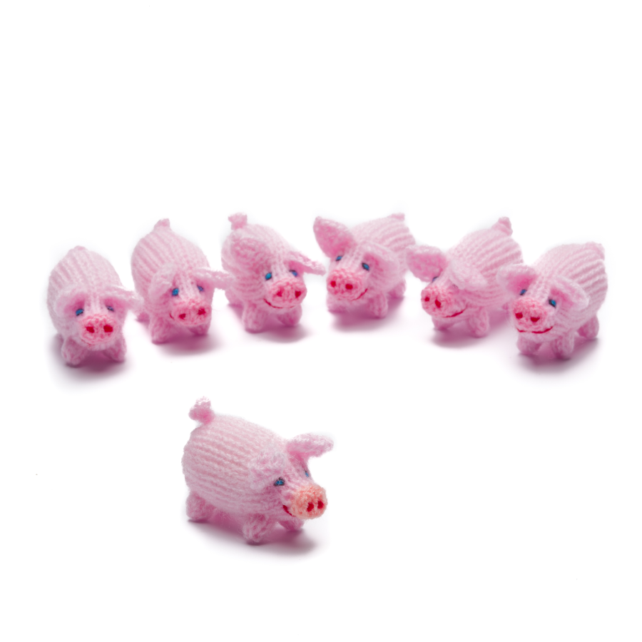 Cerdo de punto, pequeño