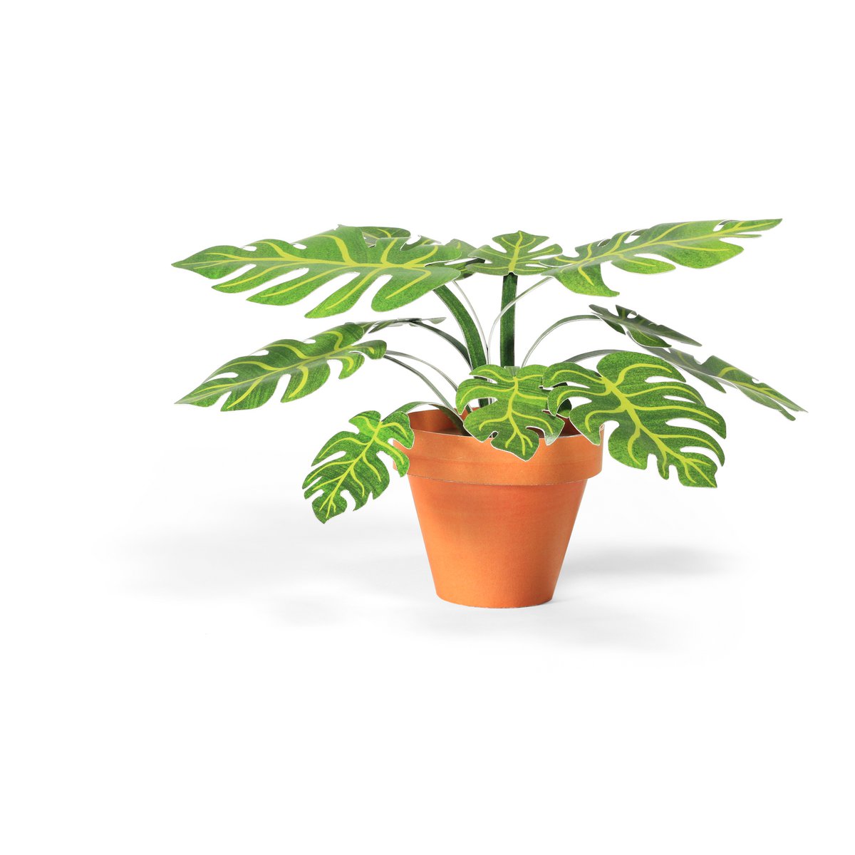 Pyszny mini zestaw do rękodzieła ogrodowego Monstera