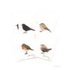 Geschenkanhänger | Vögel (Satz)