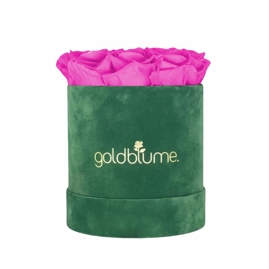 Velvet Green Collection