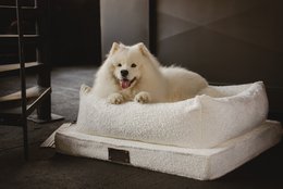 "Nero Boucle" lair for a dog and a cat from the Fluffy Puppy brand, 3 colors, Boucle material, hand made!