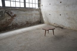 TORSO