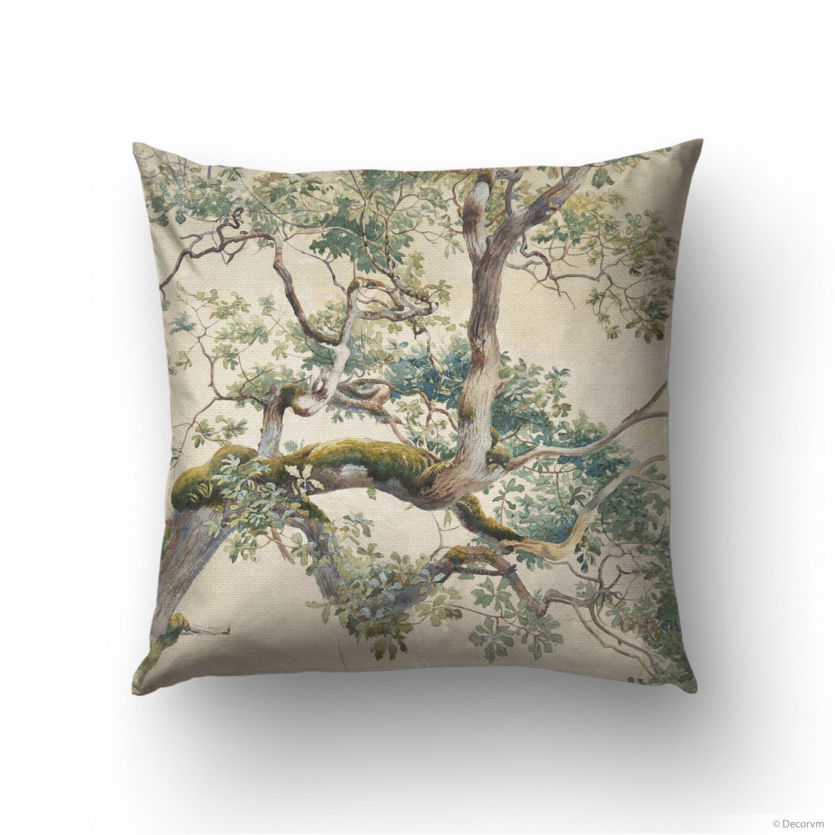 vintage Botanique Aquarelle Jeter Oreiller Nature Inspiré Décor | TRE001