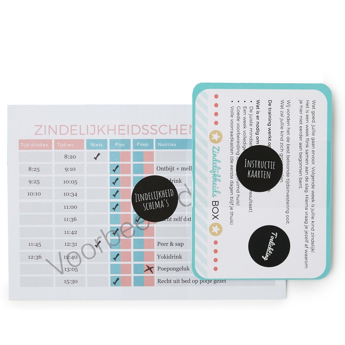 Zindelijkheidsbox - Jongen editie - Zindelijkheidstraining kind - Peuter - Leren op het potje / naar de wc