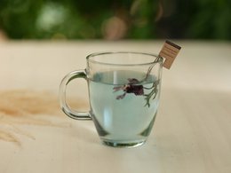 FLEUR DE LAVANDE 16 TIGRE