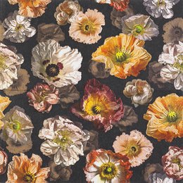 Pranzo al servizio di "papaver"