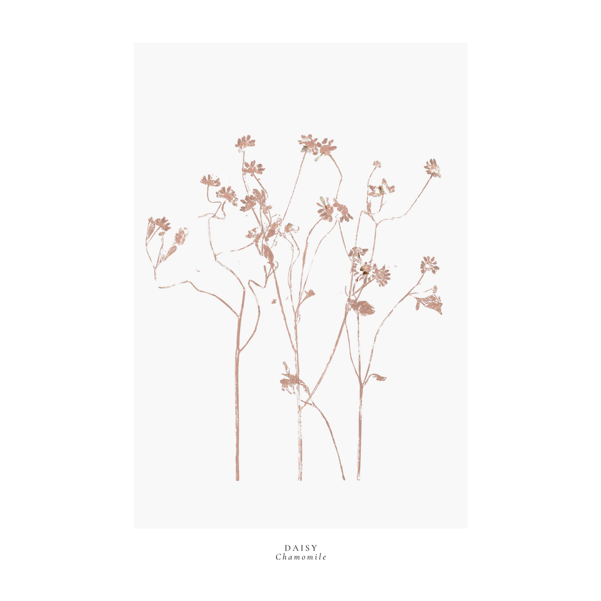 a year in bloom. Set of 12 handprinted floral postcards.