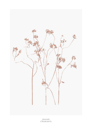 a year in bloom. Set of 12 handprinted floral postcards.