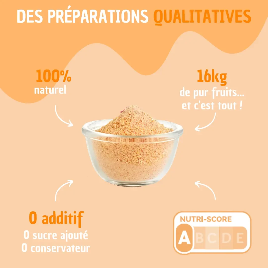 BULK Orange - Preparado 100% pura fruta para rehidratar