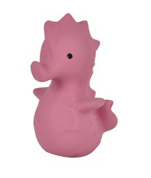 Mijn Eerste Oceaandiertje Zeepaard