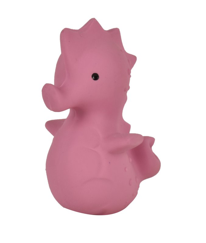 Mijn Eerste Oceaandiertje Zeepaard