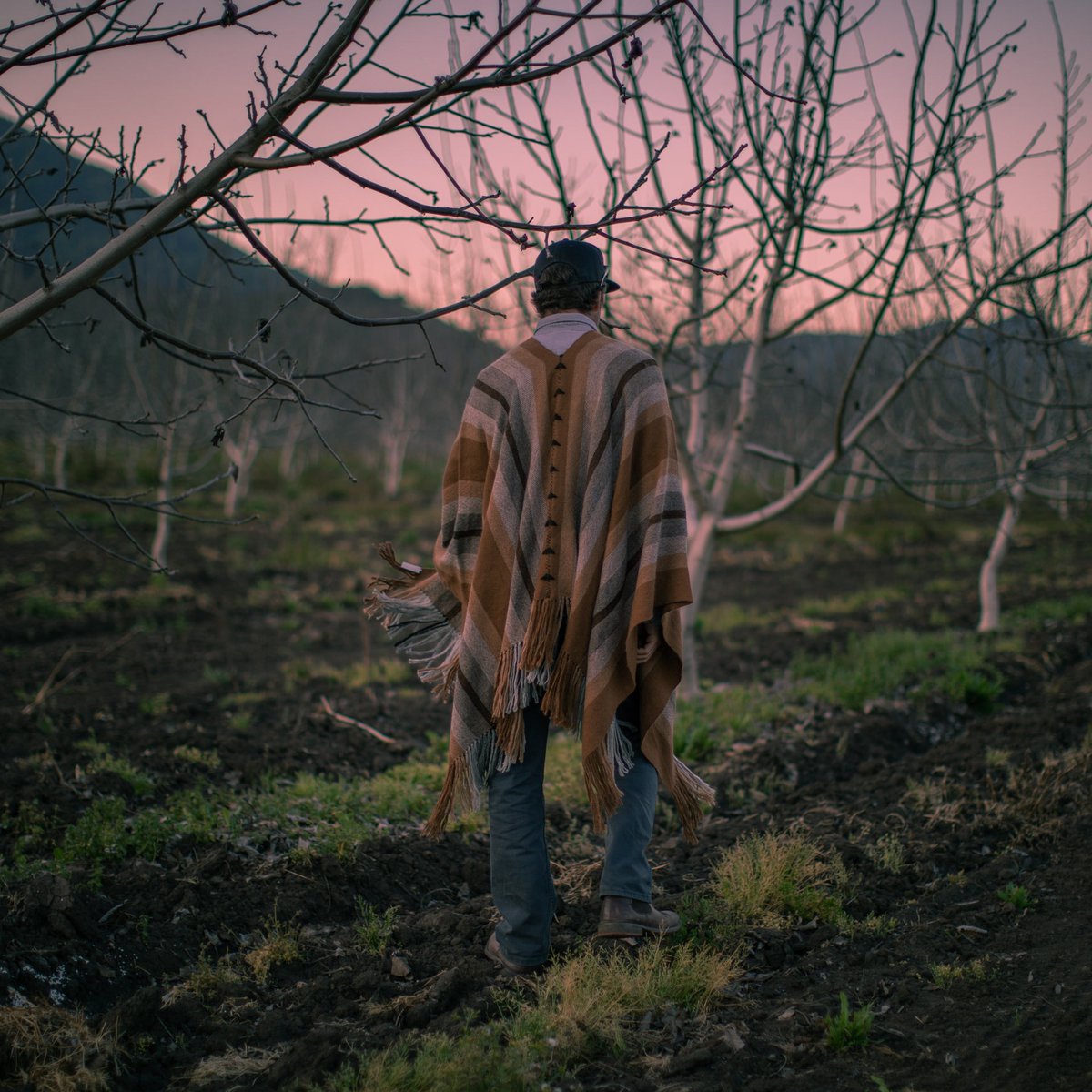 Lascar Poncho